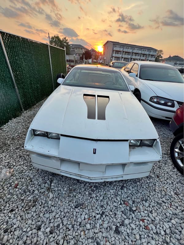 1984 Chevrolet Camaro - Z\/28 Coupe 2D