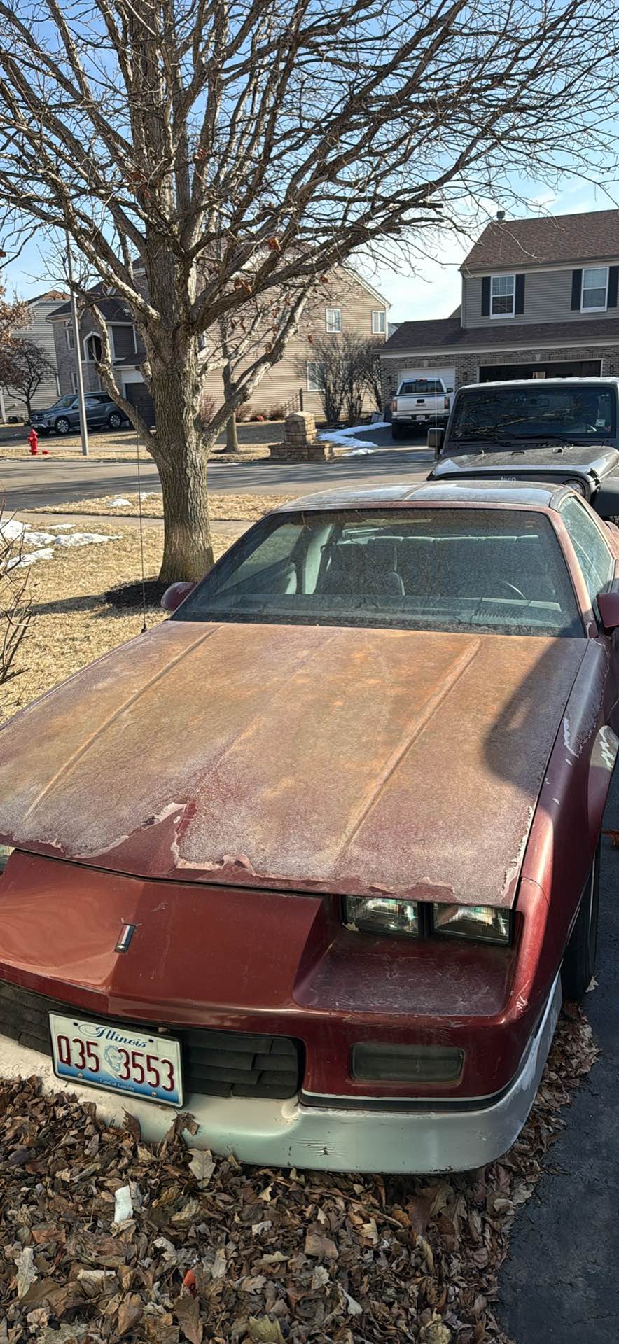 1988 Chevrolet Camaro - RS Coupe 2D