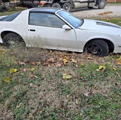 1982 Chevrolet Camaro - Coupe 2D