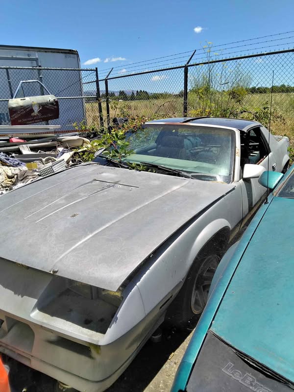 1982 Chevrolet Camaro - LT1 Coupe 2D