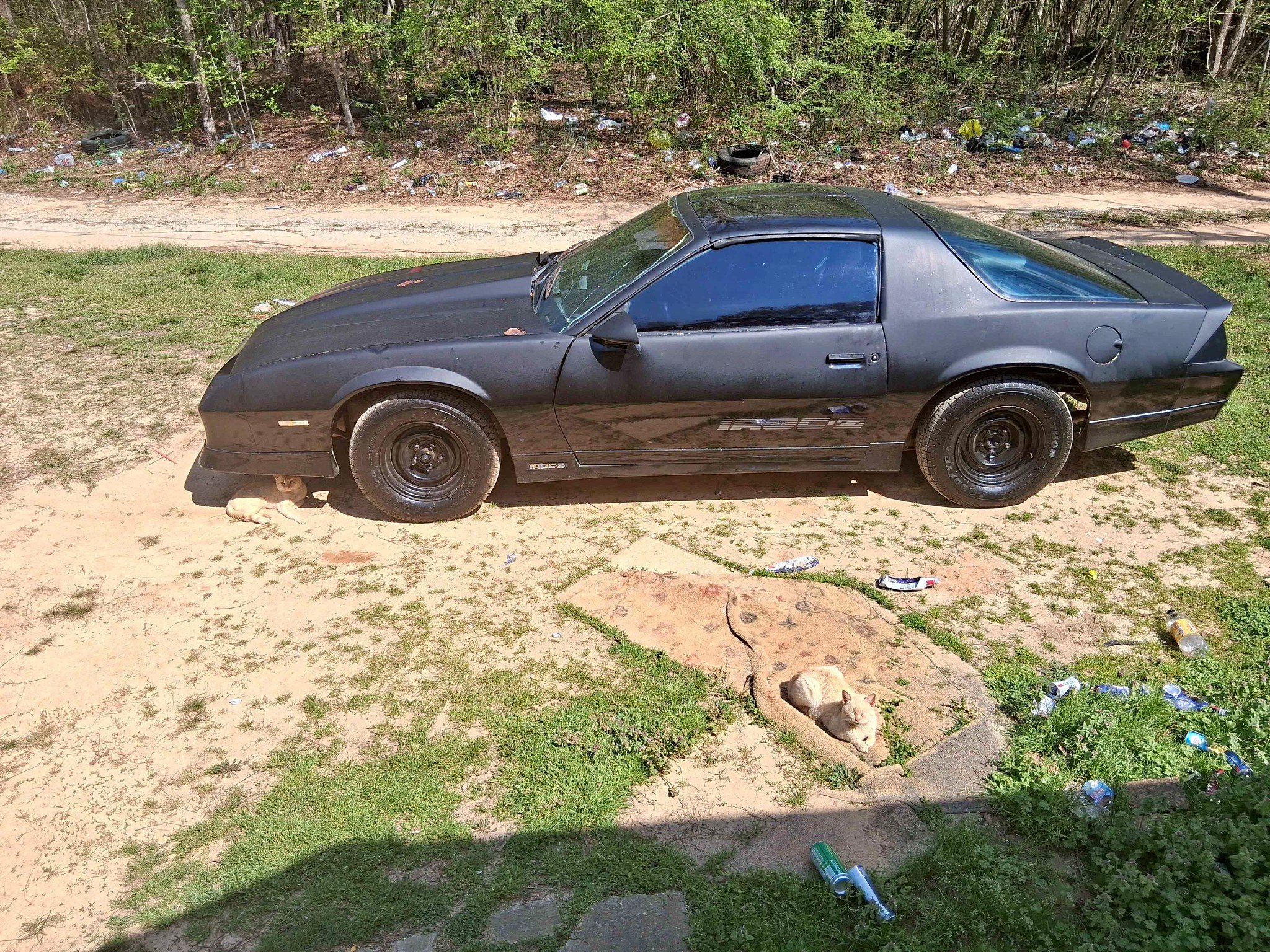 1988 Chevrolet Camaro - Coupe 2D