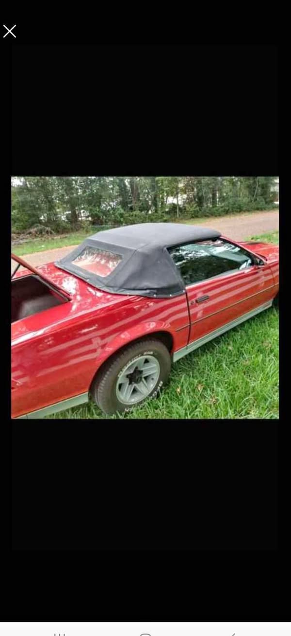 1984 Chevrolet Camaro - Z28 Convertible 2D