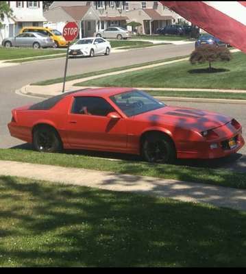 1990 Chevrolet Camaro - Z28 Coupe 2D