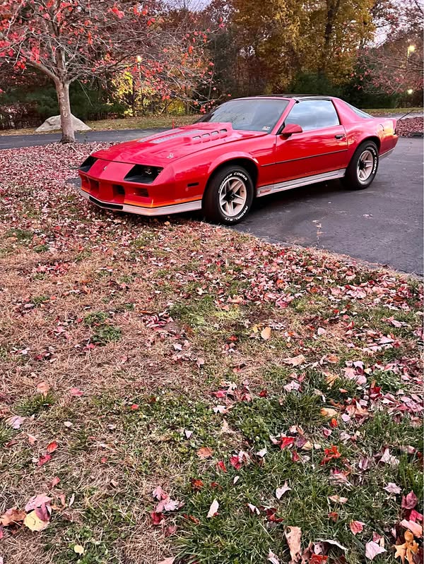 1982 Chevrolet Camaro - Z28 Coupe 2D