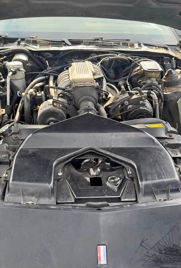 1986 Chevrolet Camaro - Z\/28 Coupe 2D