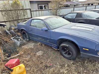 1986 Chevrolet Camaro - Z28 Coupe 2D