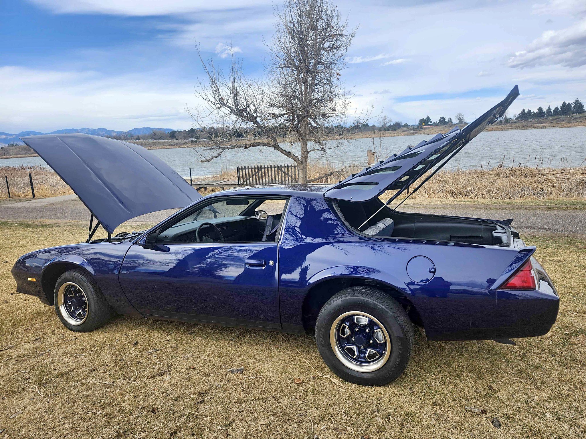 1982 Chevrolet Camaro - Coupe 2D