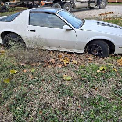 1982 Chevrolet Camaro - Coupe 2D