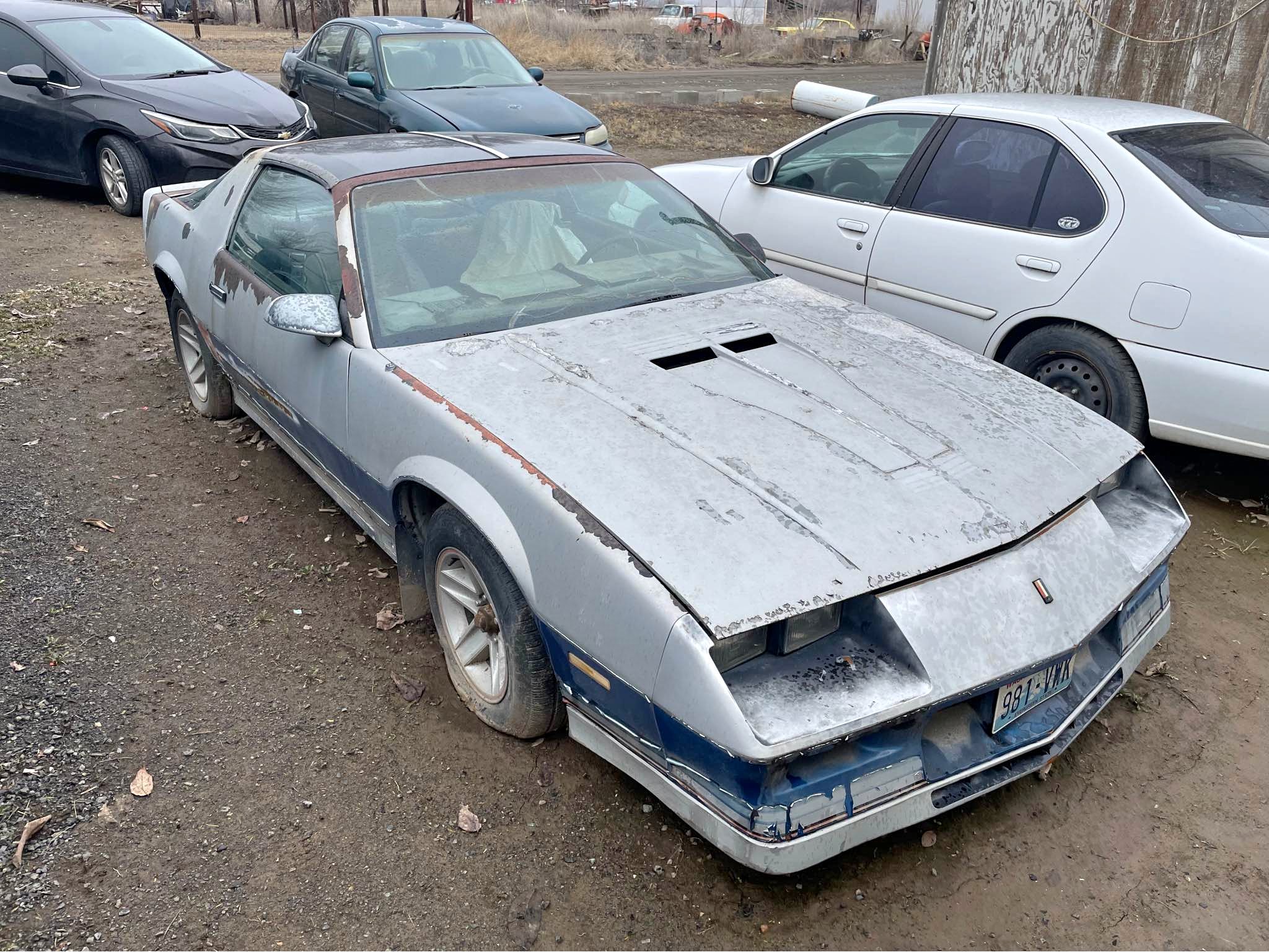 1982 Chevrolet Camaro - Z\/28 Coupe 2D