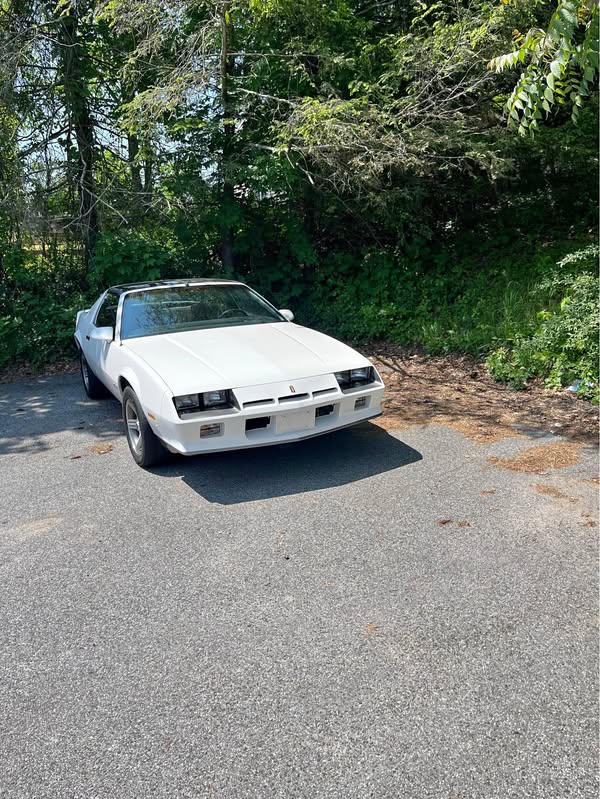 1984 Chevrolet Camaro - Nickle