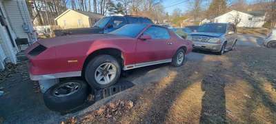 1984 Chevrolet Camaro - Z\/28 Coupe 2D