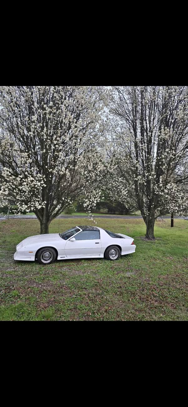 1991 Chevrolet Camaro - Coupe 2D