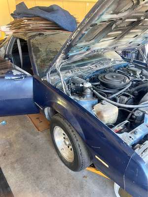 1985 Chevrolet Camaro - Coupe 2D