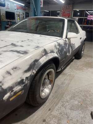 1982 Chevrolet Camaro - Coupe 2D