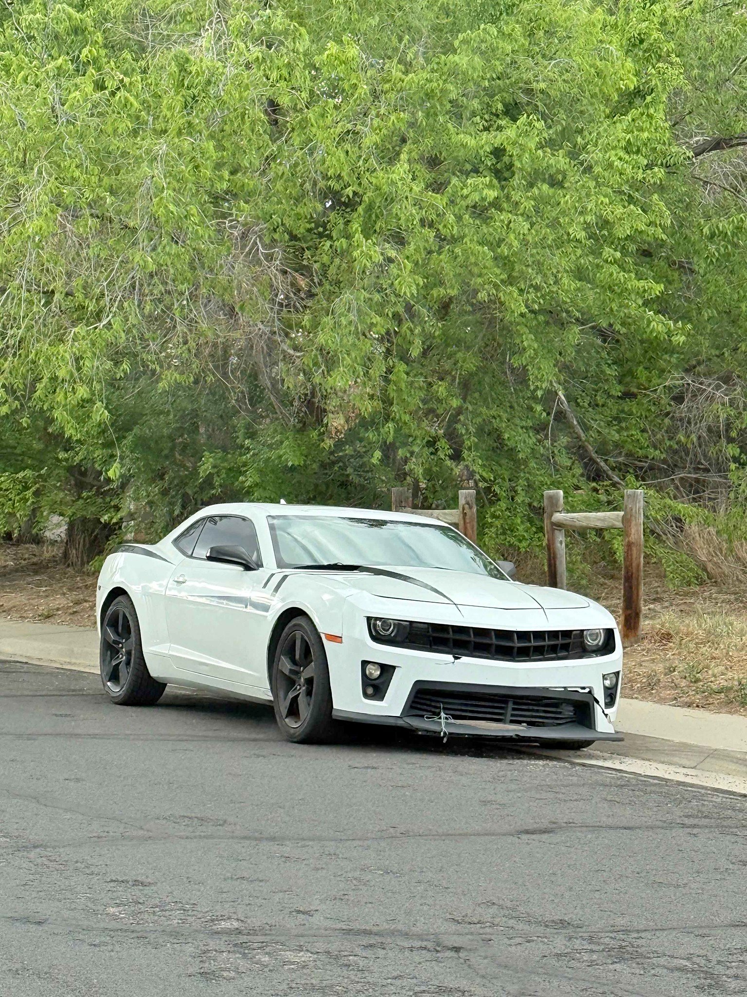 2013 Chevrolet Camaro - LT1 Coupe 2D