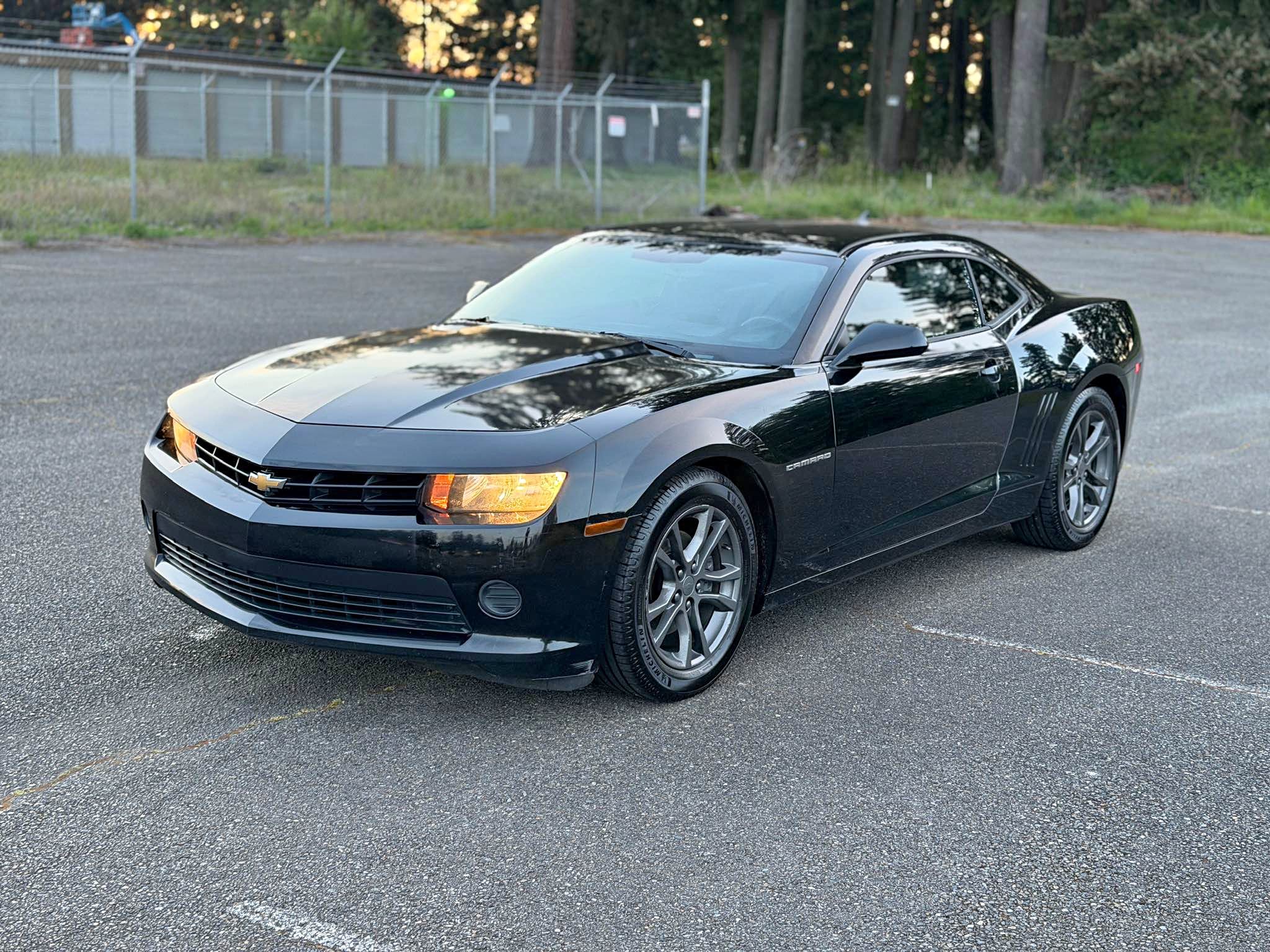 2014 Chevrolet Camaro - LS Coupe 2D