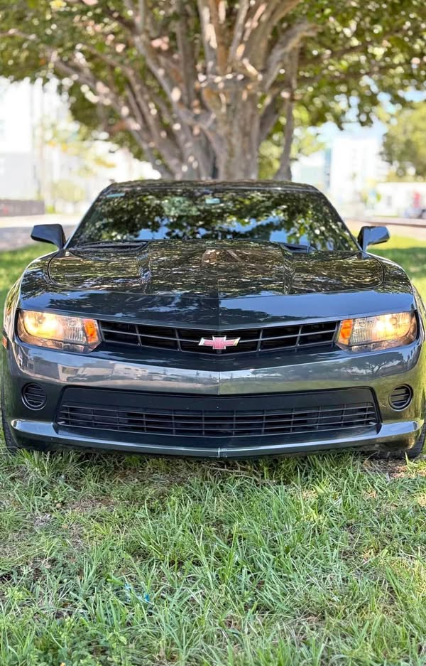 2014 Chevrolet Camaro - LS Coupe 2D