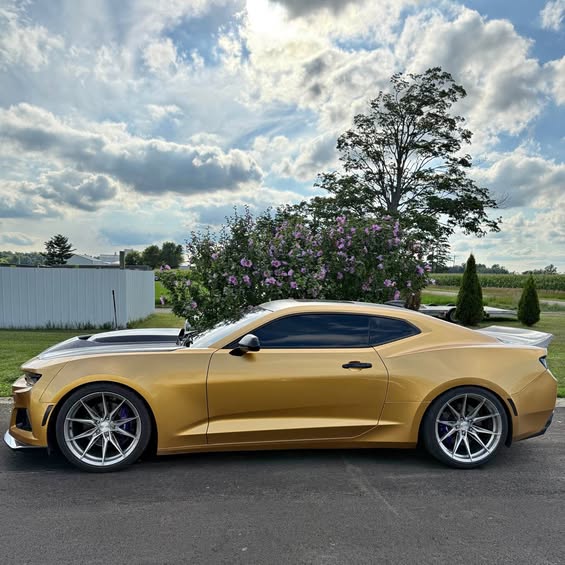 2016 Chevrolet Camaro - SS