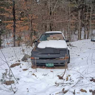 1985 Toyota Celica - GT Hatchback Coupe 2D