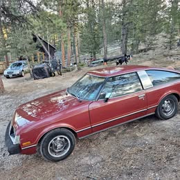 OE Rims From 1979 Toyota Celica GT Liftback