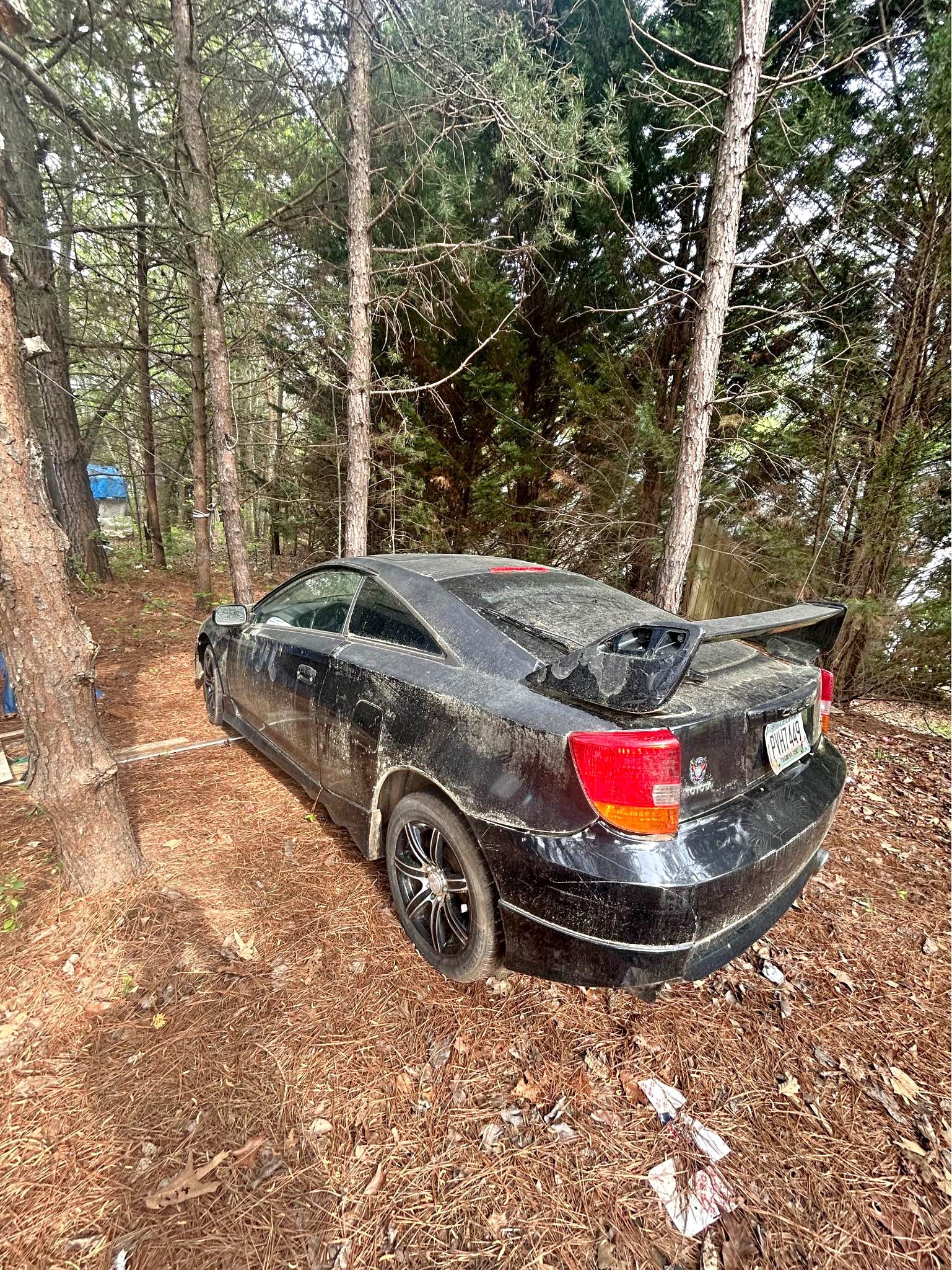 2002 Toyota Celica - GT Liftback 2D