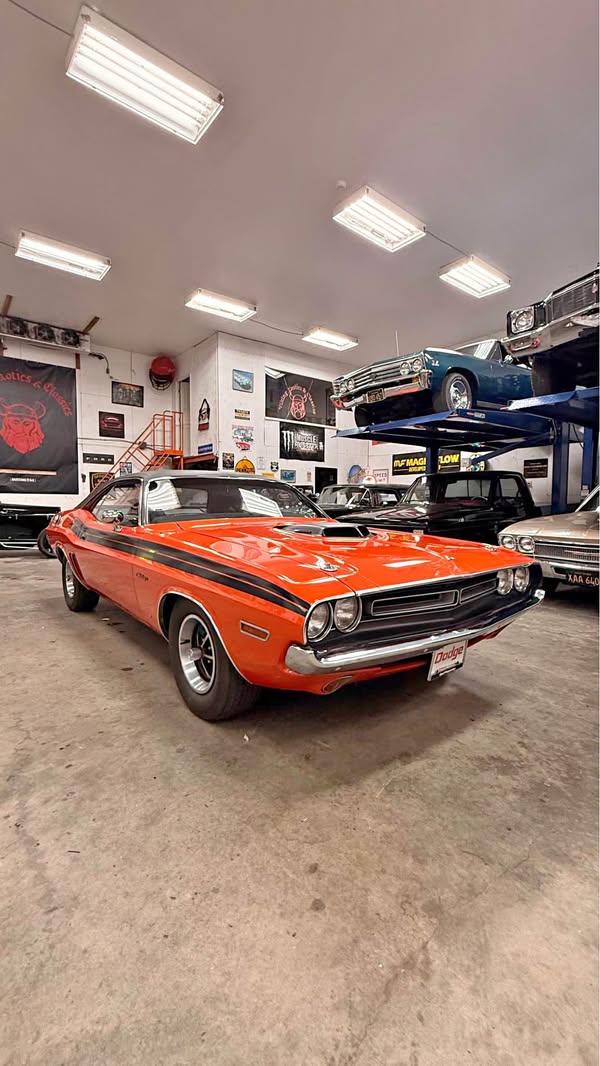 1971 Dodge Challenger  - R\/t
