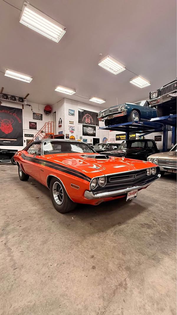 1971 Dodge Challenger - R\/t