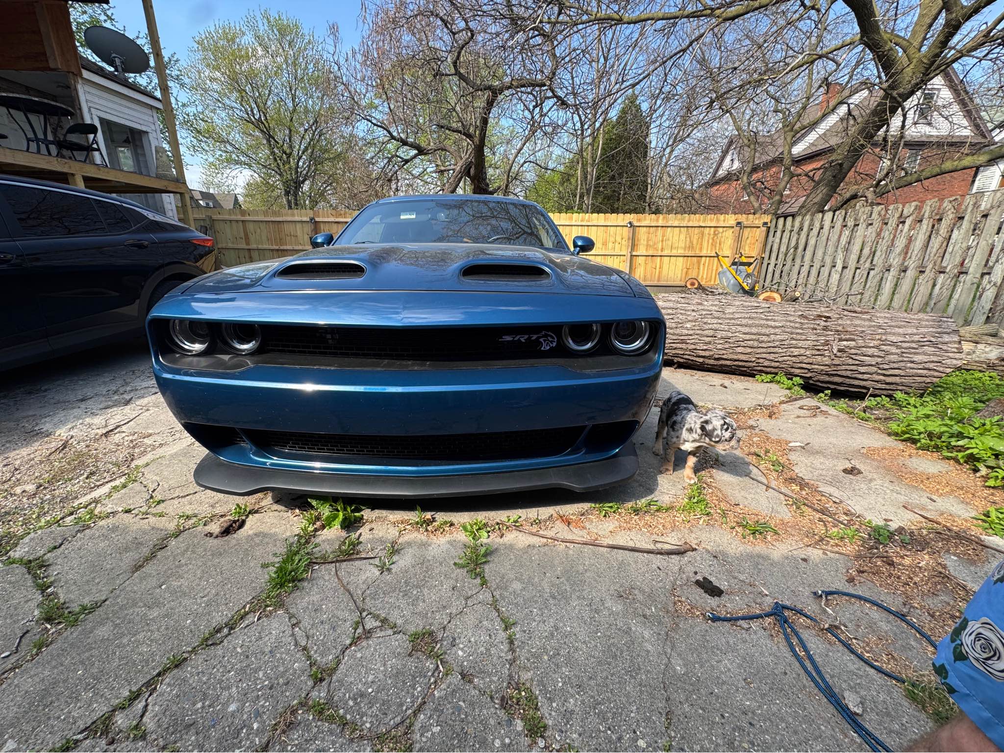 2022 Dodge Challenger - SRT Hellcat Coupe 2D