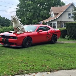 2015 Dodge SRT Challenger Hellcat