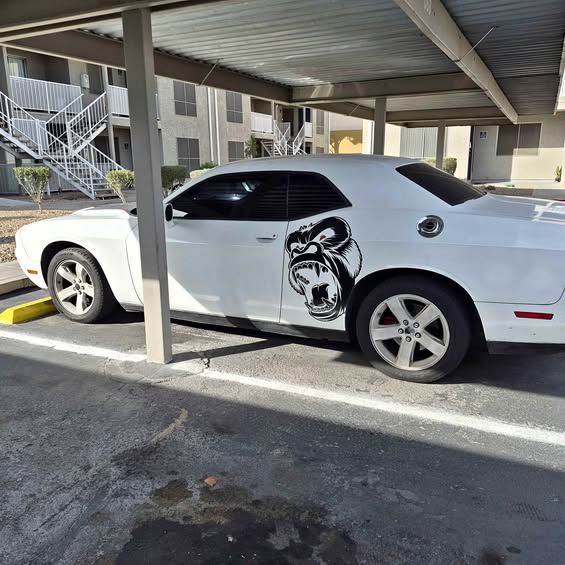 2013 Dodge challenger sxt v6 - Sport