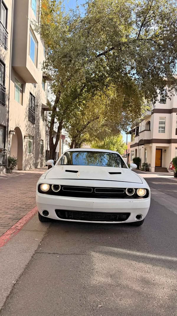 2019 Dodge Challenger - Coupe 2D