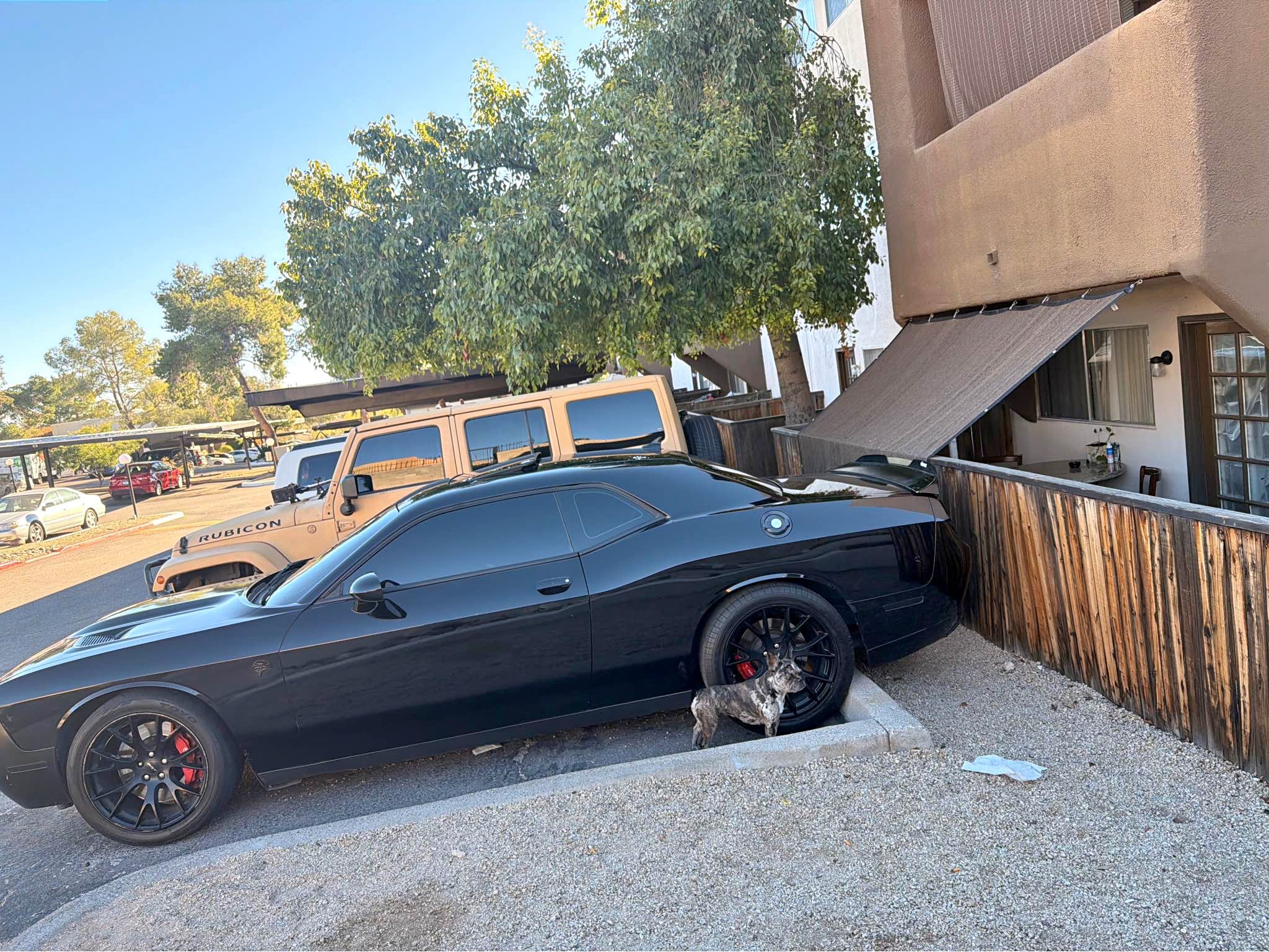 2016 Dodge Challenger - SRT Hellcat Coupe 2D