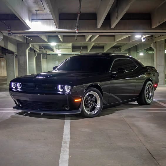 2020 Dodge Challenger - R\/T Plus Coupe 2D