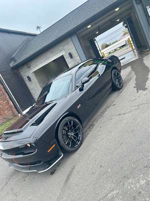 2016 Dodge Challenger - R\/T Plus Coupe 2D