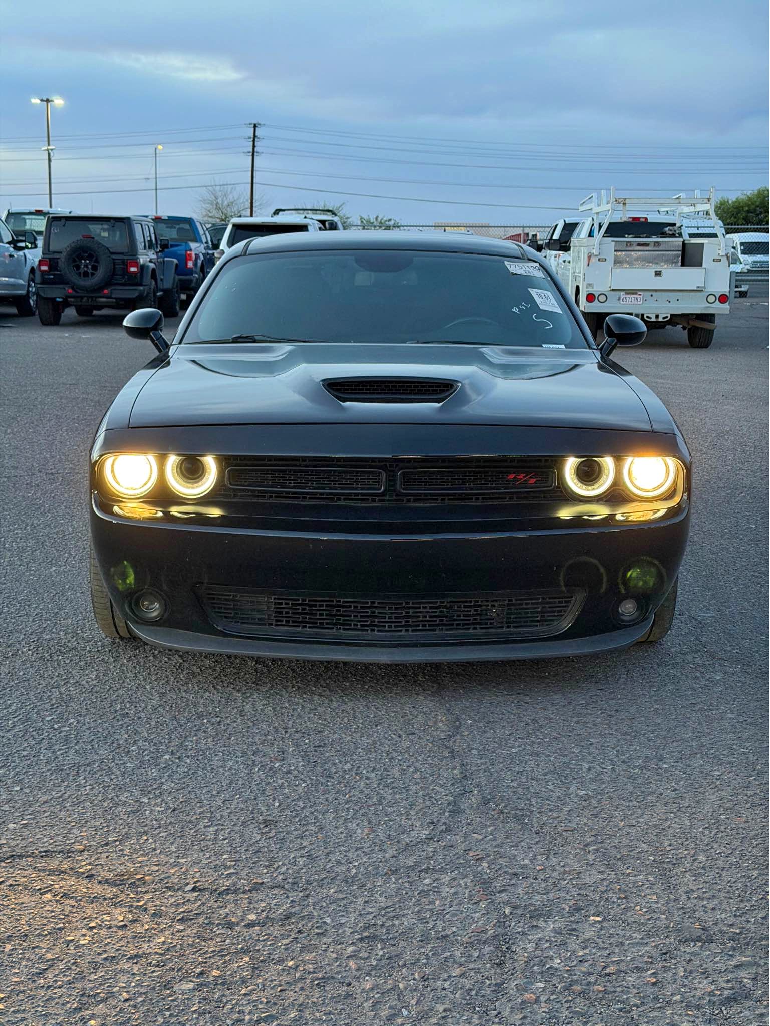 2019 Dodge Challenger - Hemi Rt