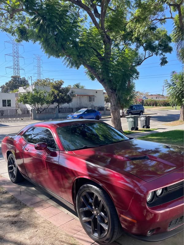 2021 Dodge Challenger - SXT Coupe 2D