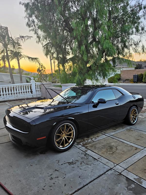 2016 Dodge Challenger - GT Coupe 2D
