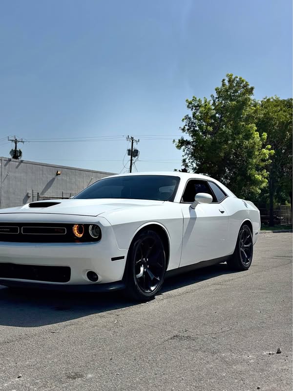 2019 Dodge Challenger - R\/T Coupe 2D