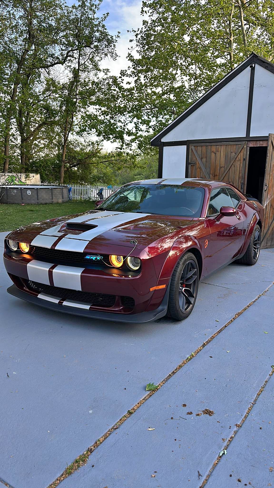2019 Dodge Challenger - 392 Hemi Scat Pack Shaker Coupe 2D