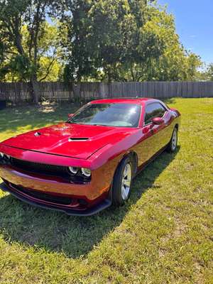 2019 Dodge Challenger - SXT Coupe 2D