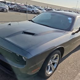 2017 Dodge Dodge Challenger SXT