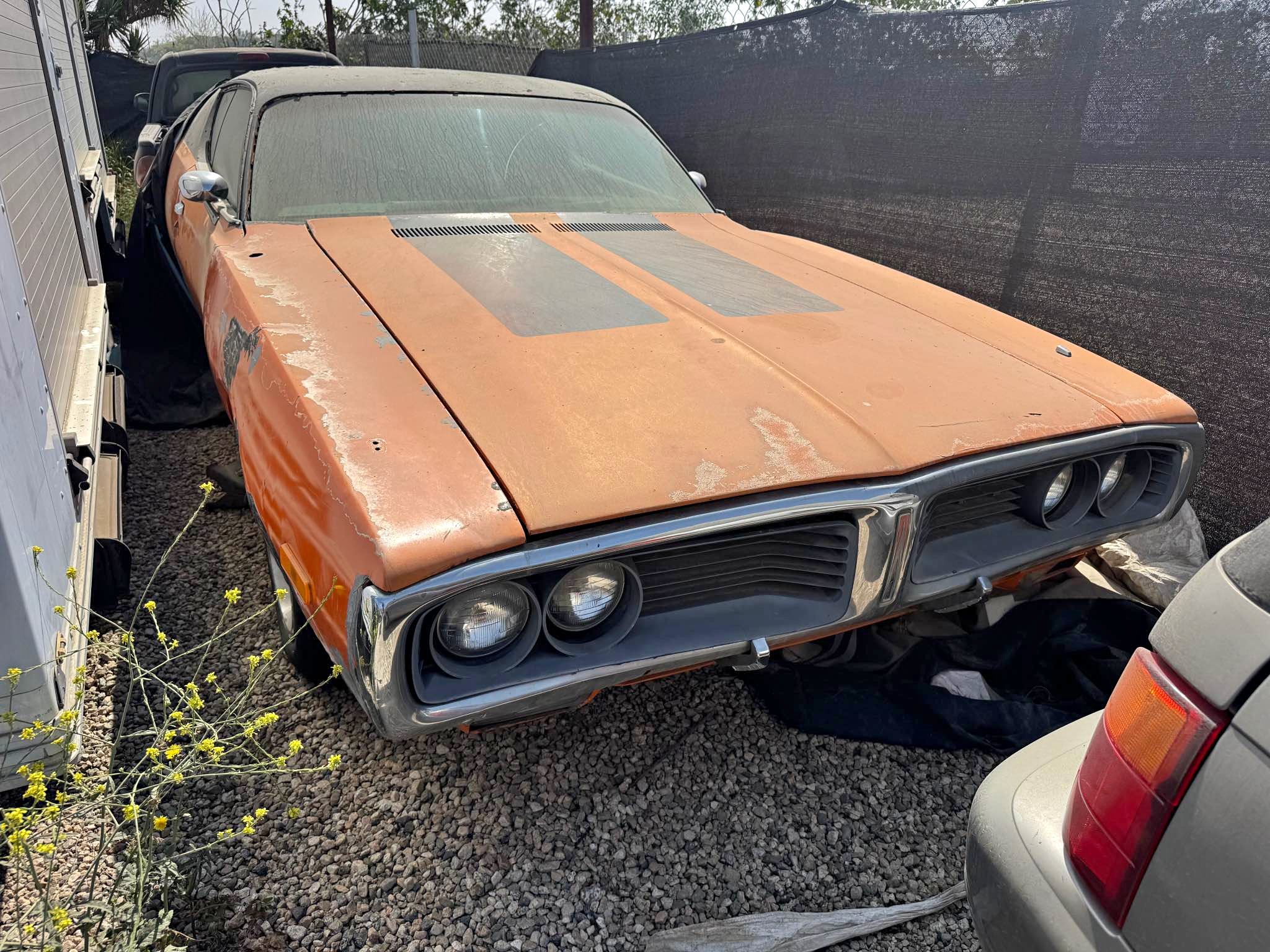 1972 Dodge Charger - RT