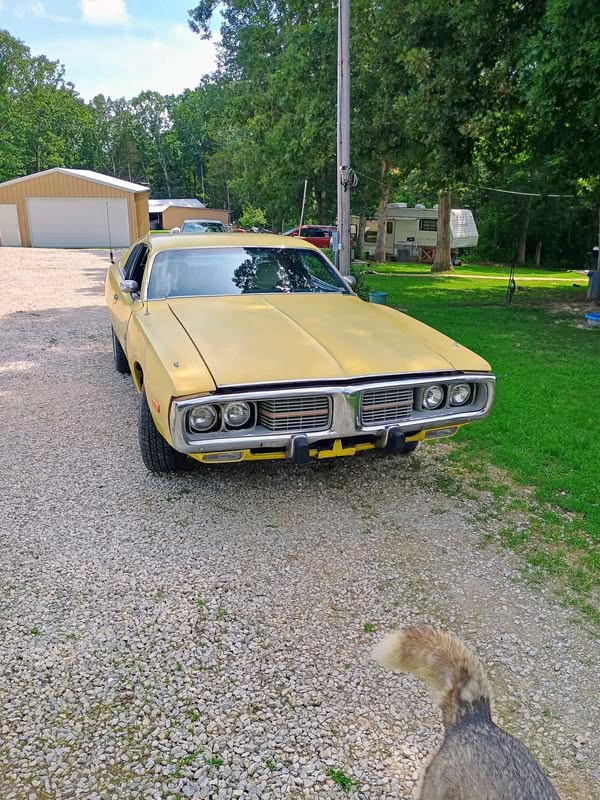 1974 Dodge Charger - SE Sedan 4D