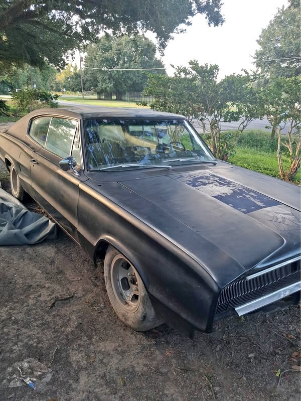 1966 Dodge Charger - Big Back
