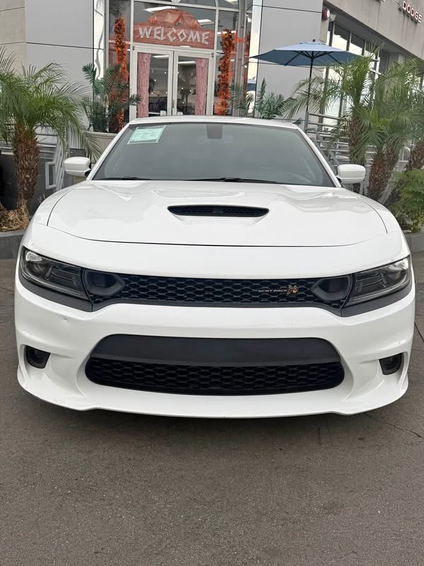 2022 Dodge Charger - Scatpack plus with Dynamics Pack