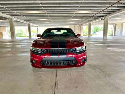 2019 Dodge Charger - SXT Plus Sedan 4D