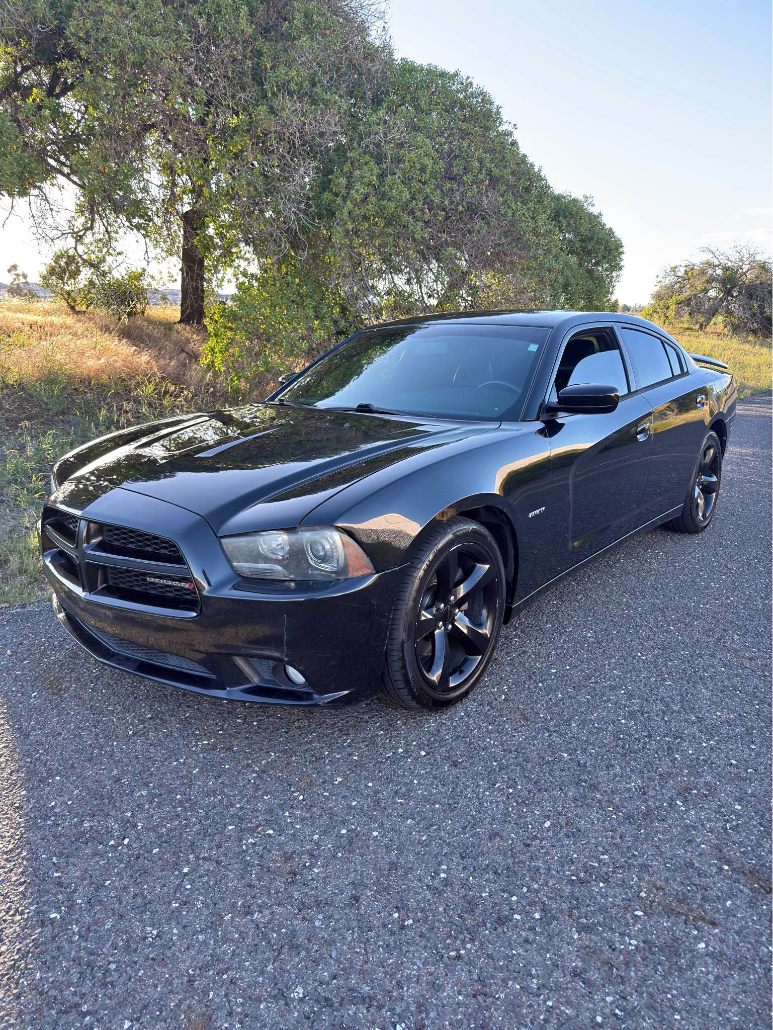 2014 Dodge Charger - R\/T Sedan 4D