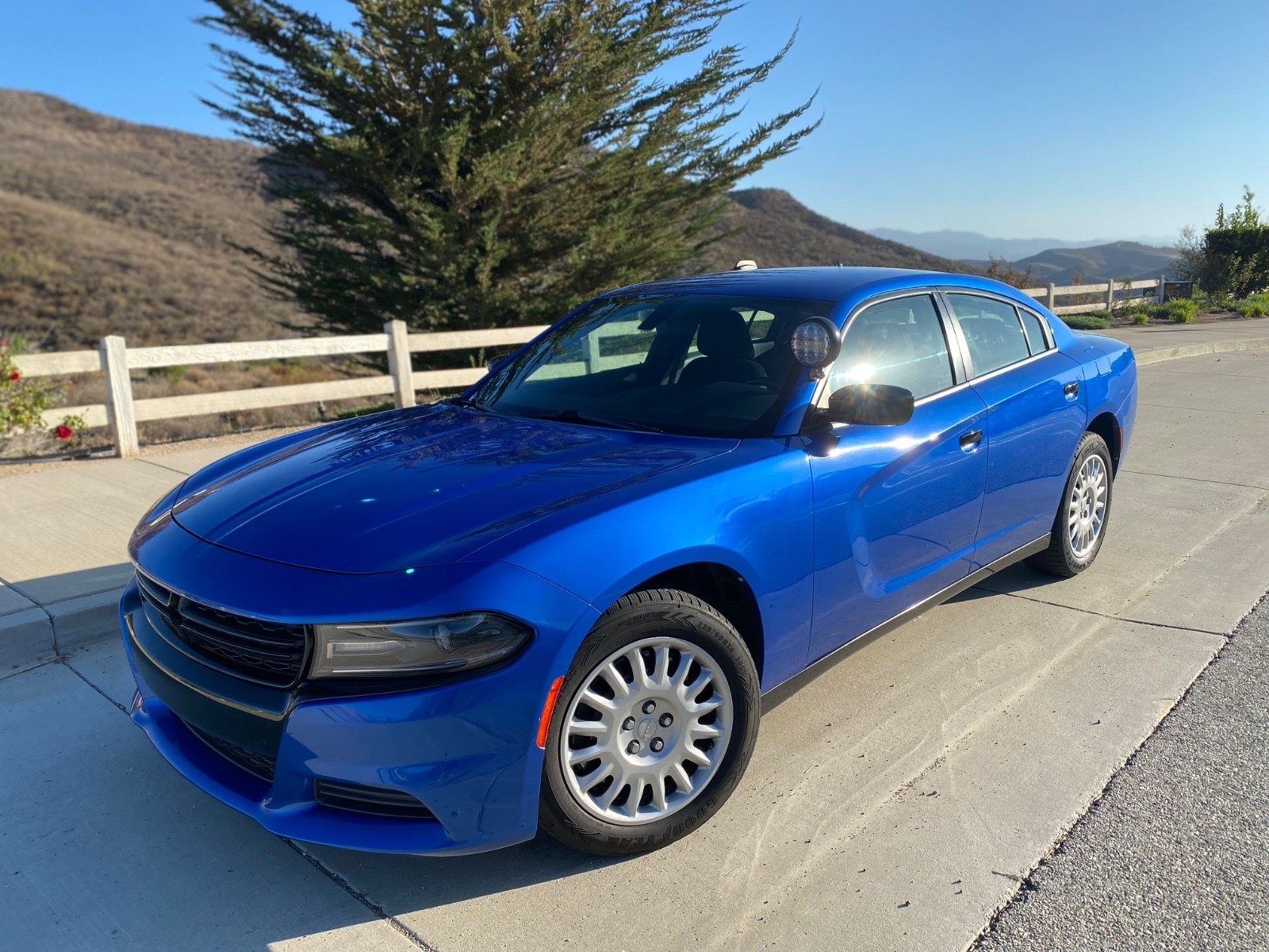 2019 Dodge Charger POLICE PURSUIT VEHICLE AWD