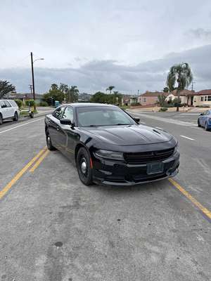 2015 Dodge Charger - SXT Sedan 4D