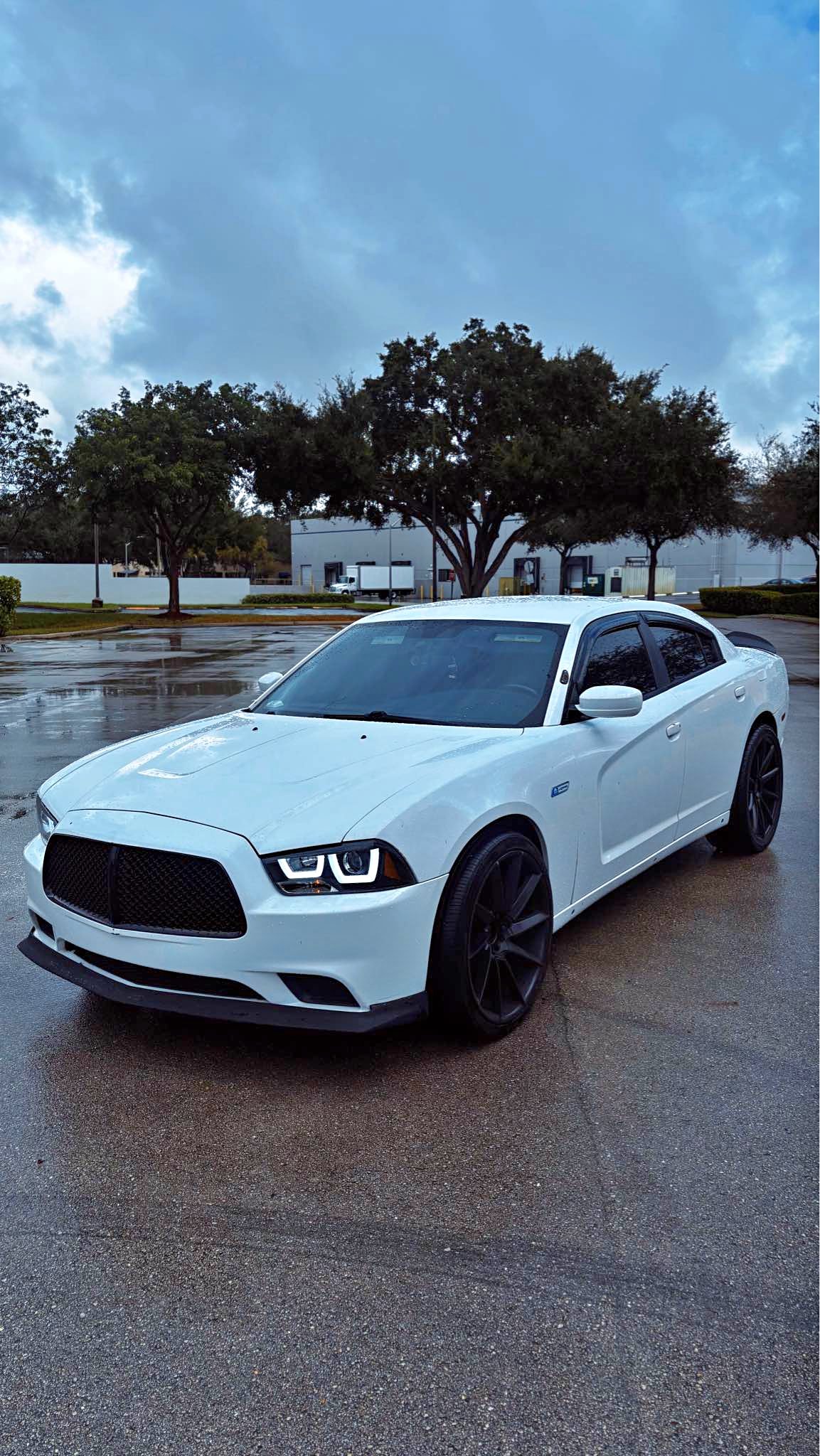 2014 Dodge Charger - Pursuit V6